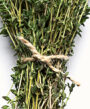 aa